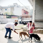 एंटी रैबीज टीकाकरण हेतु दशहरा मैदान में 09 दिसम्बर को लगेगा शिविर