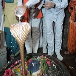 शिव आरती, दीपोत्सव और भव्य आतिशबाजी के साथ पाली महोत्सव 2026 का हुआ शुभारंभ