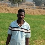 गेहूं की पैदावार : कम लागत में ज्यादा मुनाफा