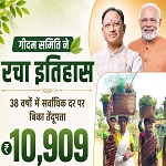 दंतेवाड़ा की गीदम समिति ने रचा इतिहास, 38 वर्षों में सबसे अधिक कीमत पर बिका तेंदूपत्ता