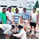 एक पेड़ माॅं के नाम अभियान अंतर्गत सियान सदन के समीप किया गया वृक्षारोपण