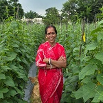 बिहान से बहनों को मिला आर्थिक संबल, खीरे की खेती से सुभद्रा मंडल ने लिखी आत्मनिर्भरता की नई कहानी