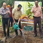सेवा संकल्प अभियान के तहत एचटीपीएस में लगाए गए देसी प्रजाति के पौधे