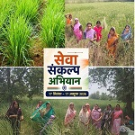सेवा संकल्प अभियान : औषधीय खस की खेती से आत्मनिर्भरता की ओर बढ़ते कदम