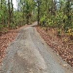 मुख्यमंत्री ग्राम सड़क योजना के तहत तीन ग्रामीण सड़कों के सुदृढ़ीकरण को मिली स्वीकृति