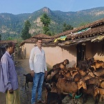 सेवा की कहानी : 13 बकरियों से शुरू हुआ सफर, अब ₹1.80 लाख की सालाना आय का मजबूत सहारा बना बकरी पालन