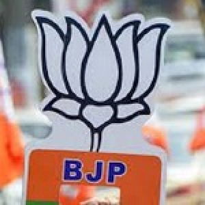 गुजरात में 15 नगर निगमों में भाजपा की जीत, मोरबी और पोरबंदर में सभी 52 सीटों पर कब्जा