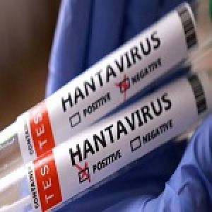 थाईलैंड ने हंतावायरस को ‘खतरनाक संक्रामक रोग’ घोषित किया