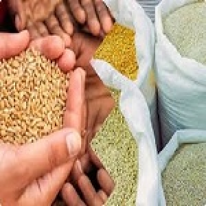 केंद्र सरकार सार्वजनिक वितरण प्रणाली के लिए 25,530 करोड़ रुपये खर्च करेगी; डीलरों का कमीशन बढ़ेगा