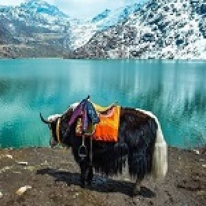 देश में प्रति व्यक्ति आय के मामले में सिक्किम शीर्ष पर बरकरार
