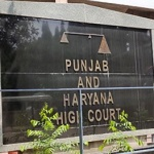 पंजाब फार्मेसी ऑफिसर भर्ती प्रक्रिया पर रोक, उच्‍च न्‍यायालय ने लगाया 17 सितंबर तक स्‍थगन