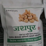 जशपुर का काजू बना किसानों की समृद्धि की नई पहचान : सुनील त्रिपाठी, नूतन सिदार