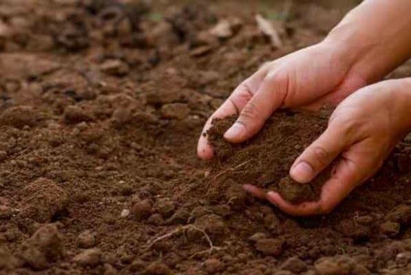 मिट्टी परीक्षण और संतुलित उर्वरक के उपयोग से किसानों को मिलेगा अधिक लाभ : एल.मानिकपुरी, ओम डहरिया
