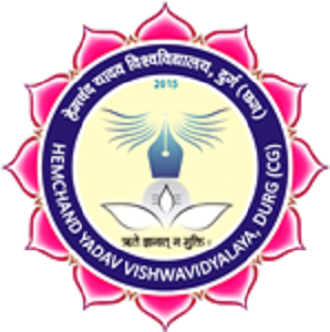 डॉ. संजय तिवारी बने हेमचंद यादव विश्वविद्यालय दुर्ग के कुलपति