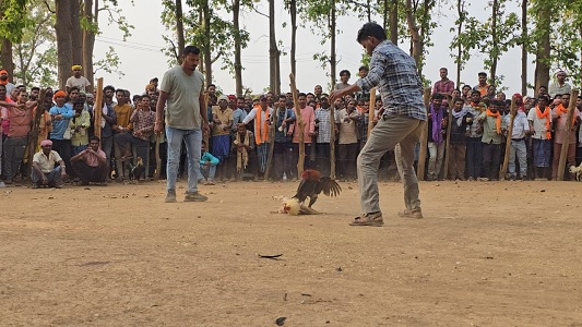 छग के पर्यटन को राष्ट्रीय पहचान दिलाने की पहल — देशभर के टूर ऑपरेटरों ने देखी छत्तीसगढ़ की अनोखी झलक