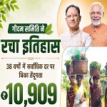दंतेवाड़ा की गीदम समिति ने रचा इतिहास, 38 वर्षों में सबसे अधिक कीमत पर बिका तेंदूपत्ता