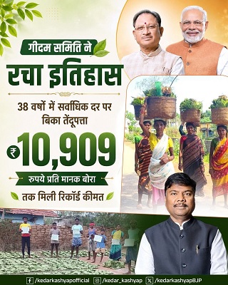 दंतेवाड़ा की गीदम समिति ने रचा इतिहास, 38 वर्षों में सबसे अधिक कीमत पर बिका तेंदूपत्ता