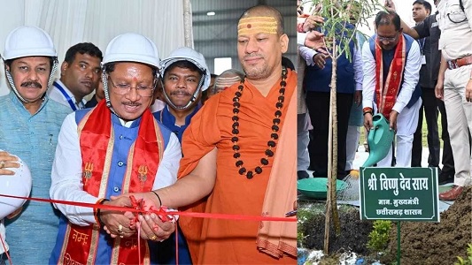बदलता छत्तीसगढ़: हरा सोना, नई उड़ान - वनोपज की चमक से संवरती ग्रामीण अर्थव्यवस्था