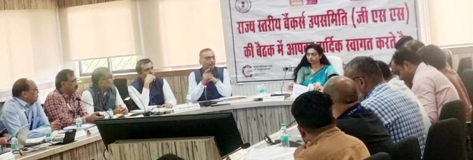 छत्तीसगढ़ जनहितैषी योजनाओं के लोन प्रकरणों को जल्द स्वीकृत करें बैंकर्स; विशेष सचिव शीतल वर्मा के कड़े निर्देश