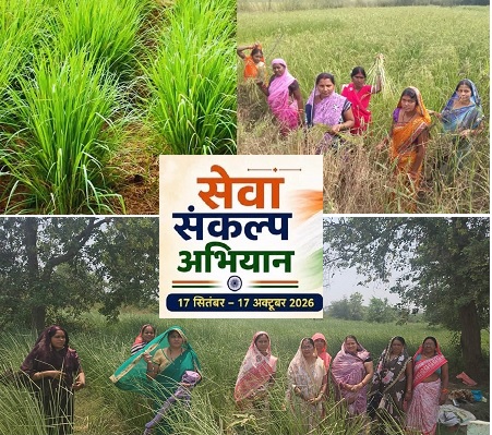 सेवा संकल्प अभियान : औषधीय खस की खेती से आत्मनिर्भरता की ओर बढ़ते कदम