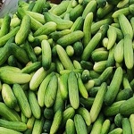 आजीविका की नई भोर : बिहान योजना ने बदली सारंगढ़ की गीता की दुनिया