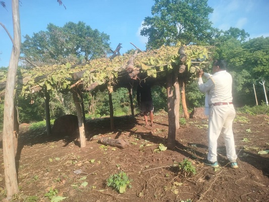 जशपुर वनमण्डल की त्वरित कार्रवाई से वनभूमि पर अतिक्रमण का प्रयास विफल