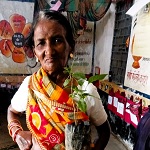 महतारी वंदन वृक्षारोपण अभियान : 30 जुलाई को प्रदेश में पहली बार होगा आयोजित