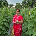 बिहान से बहनों को मिला आर्थिक संबल, खीरे की खेती से सुभद्रा मंडल ने लिखी आत्मनिर्भरता की नई कहानी