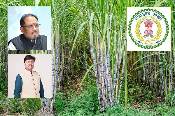 प्रदेश के 31 हजार गन्ना किसानों को मिलेगा 51.09 करोड़ रुपए का बोनस