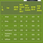 कैबिनेट ने 2026-27 सीजन के लिए सभी रबी फसलों के एमएसपी में बढ़ोतरी को मंजूरी दी