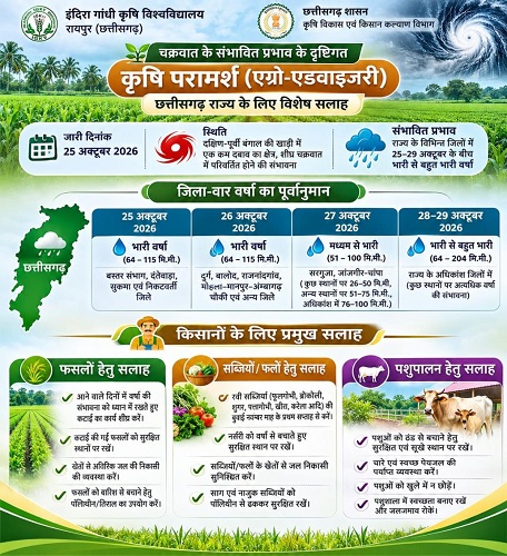 चक्रवात के प्रभाव से छत्तीसगढ़ में बढ़ेगी वर्षा की गतिविधियां, किसानों के लिए मौसम आधारित सलाह जारी