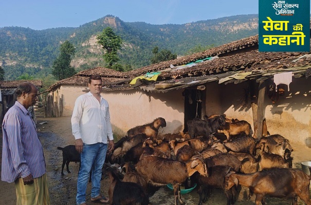 सेवा की कहानी : 13 बकरियों से शुरू हुआ सफर, अब ₹1.80 लाख की सालाना आय का मजबूत सहारा बना बकरी पालन