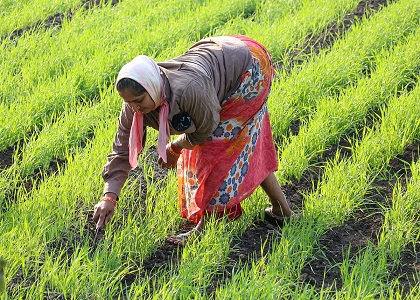 हर खेत तक सहायता, हर किसान तक विश्वास, हर फसल से उम्मीद और उत्साह 