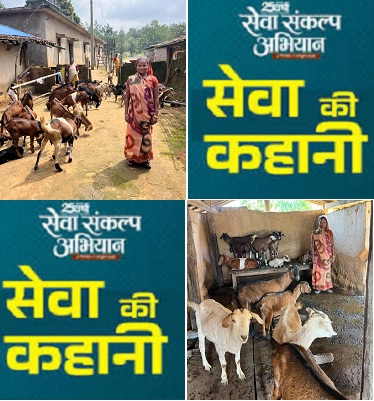 सेवा की कहानी : 10 बकरियों से शुरू हुआ सफर, आज 40 से अधिक बकरियों की मालकिन हैं प्रमिला सिंह