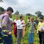 संचालक कृषि द्वारा जिले में अनेक स्थान पर विभागीय योजनाओं के क्रियान्वयन का किया गया निरीक्षण
