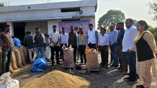 पूजा-अर्चना के साथ पाली में धान उपार्जन कार्य का शुभारंभ, किसानों में खुशी की लहर