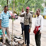 तुलसी एजेंसी से सीएसईबी चौक तक के मुख्य मार्ग पर किया गया वृक्षारोपण