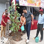 एम.पी.नगर से रविशंकर नगर मार्ग पर किया गया वृक्षारोपण
