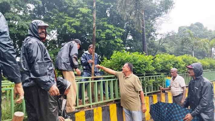 घंटाघर से महाराणा प्रताप चौक मार्ग पर किया गया वृक्षारोपण