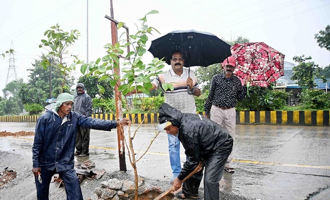 ढ़ोढीपारा उपस्वास्थ्य केन्द्र के समीप मुख्य मार्ग में किया गया वृक्षारोपण