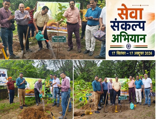 सेवा संकल्प अभियान के तहत एचटीपीएस में लगाए गए देसी प्रजाति के पौधे