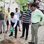 "एक पेड़ माॅ के नाम" : निहारिका टाकिज से घंटाघर मुख्य मार्ग पर किया गया वृक्षारोपण