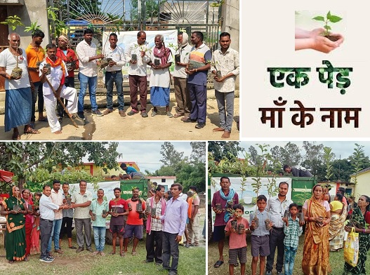 'एक पेड़ माँ के नाम' अभियान के तहत केपीएल द्वारा 24035 फलदार पौधों का वितरण