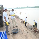 एसईसीएल ने गांधी जयंती पर मनाया स्वच्छ भारत दिवस; 165 से अधिक कार्यक्रम, 100 सफाई मित्र सम्मानित